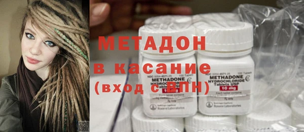 индика Козельск