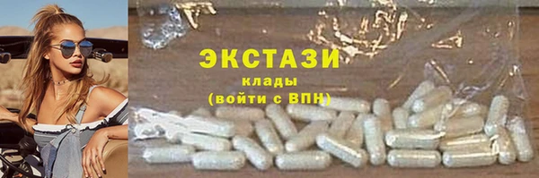индика Козельск