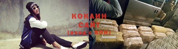 индика Козельск