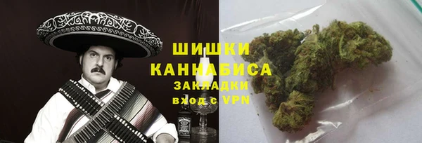 сатива Гусев