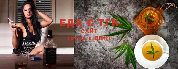 индика Козельск