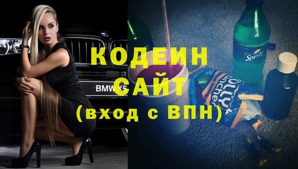 индика Козельск