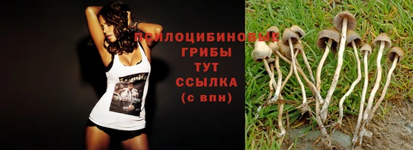 винт Кинешма