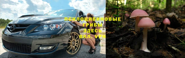 амф Санкт-Петербург